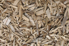 biomass boilers Low Valley